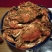 Dinardo's Famous Crabs